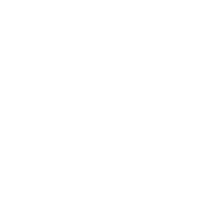 BrassolLogo