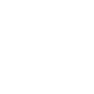 Bullteco