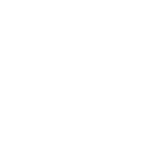 Collie-M2-Branco