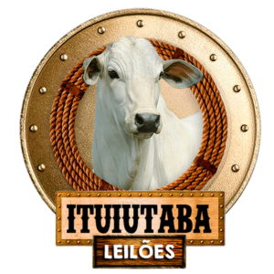 Ituiutaba-Leilões