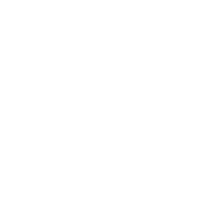 Valorize