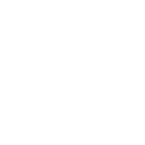 evox_sem-fundo-branco