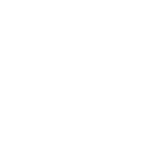 santa-bronx