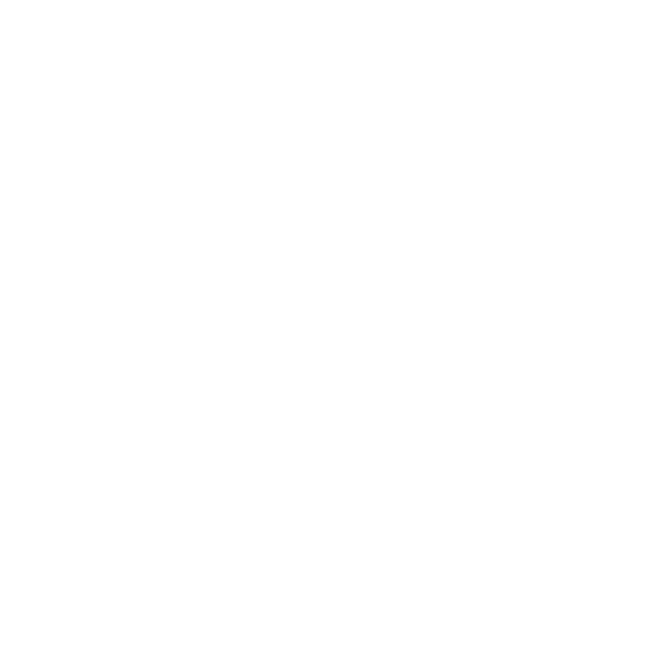 santa-bronx